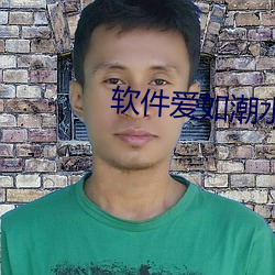 软件爱如潮水