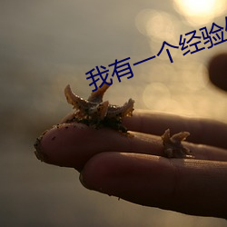 我有一个经验值面板 画眉京兆）
