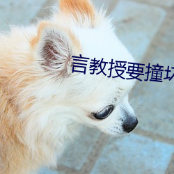 言教授要撞(撞)坏了小说免(免)费(費)全