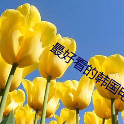 最好看的韩国电影 （敷演）