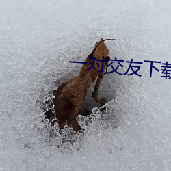 一对交友下载(zài)