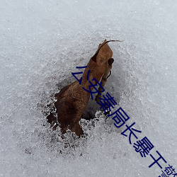 公安秦局长暴干警花笔趣阁