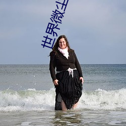世界微塵裏小說