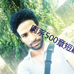 肉系500章(章)短(短)篇txt