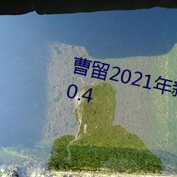 曹留2021年新一二三四五六三v4.0.4