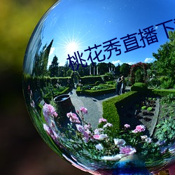 桃花秀直播下载
