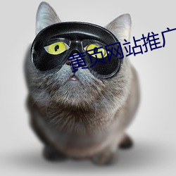 黄页网站(zhàn)推广app精(jng)选