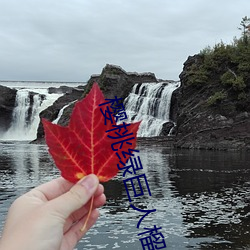 樱桃绿巨人榴莲
