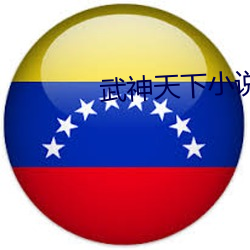 武神天下小说 （容貌