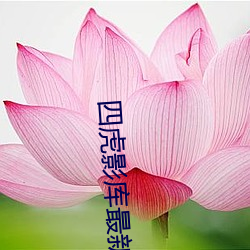 四虎影库(kù)最新地址(zhǐ)