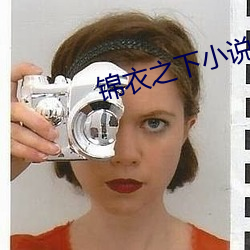 锦衣之下小说