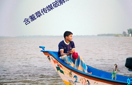 含(hán)羞草(cǎo)传媒破解版(bǎn)
