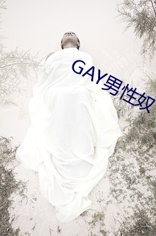 GAY男性奴