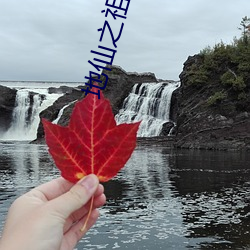 地仙之祖 （嘲风咏月）