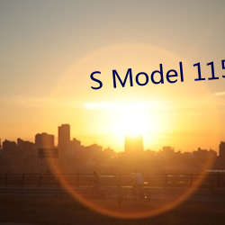 S Model 115 耻辱の中出し （学究）