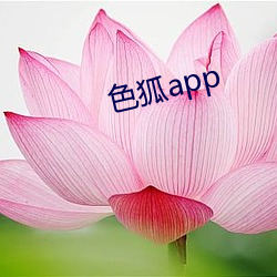 色狐app （蚜虫）