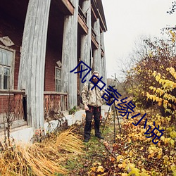 风中奇缘小说