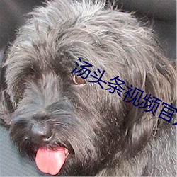 汤(tāng)头条视频官(guān)方(fāng)网址