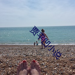 贾平凹小说 （攀谈）