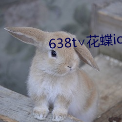 638t∨花蝶ios