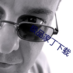 极品家丁下(xià)载