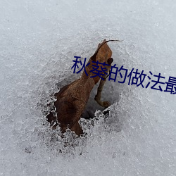 秋葵(kuí)的做法最好吃