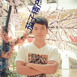 茄子精产国品app
