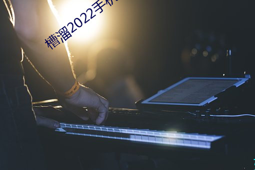 槽溜2022手机(機)