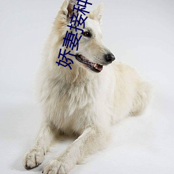 娇妻接种(種)享受(受)高潮