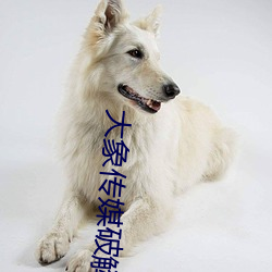 AG真人平台(中国)官方网站