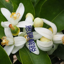 九游会登录j9入口 - 中国官方网站 | 真人游戏第一品牌