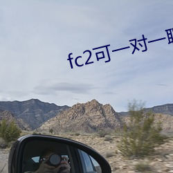 fc2可一对一聊天