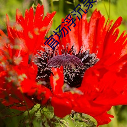 suncitygroup太阳集团--官方网站