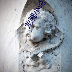 龙腾小说(說)