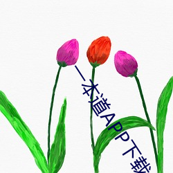 一本道APP下载