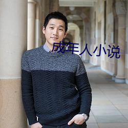 成年人小说