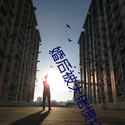 婚后(hòu)被大佬惯坏了全文