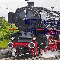 青青(青)草(草)原综合久久(久)大伊人(人)精品:用户可(可)以自由(由)选择自己想看的