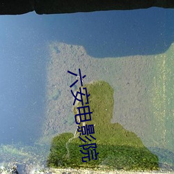 金年会(中国)官方网站