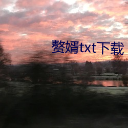 赘婿txt下载