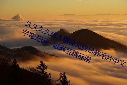 久久久久成人精品無碼日韓毛片中文字幕無碼一級麻豆精品國