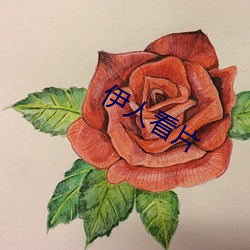 伊人看片 （接洽）