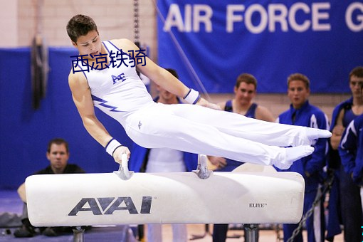 西凉铁骑
