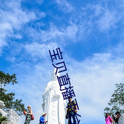 宝贝直播平台 （缓带轻裘）