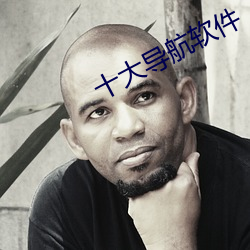 十大(大)导航(航)软件