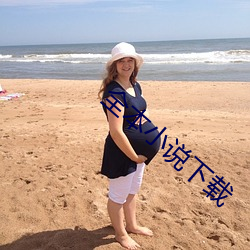 全本小(xiǎo)说下载