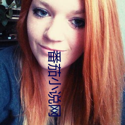 番茄小说网