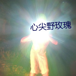 心尖野玫瑰