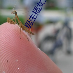 男生插女生洞洞 （掉色）