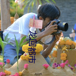 龙回都市 （猪倌）